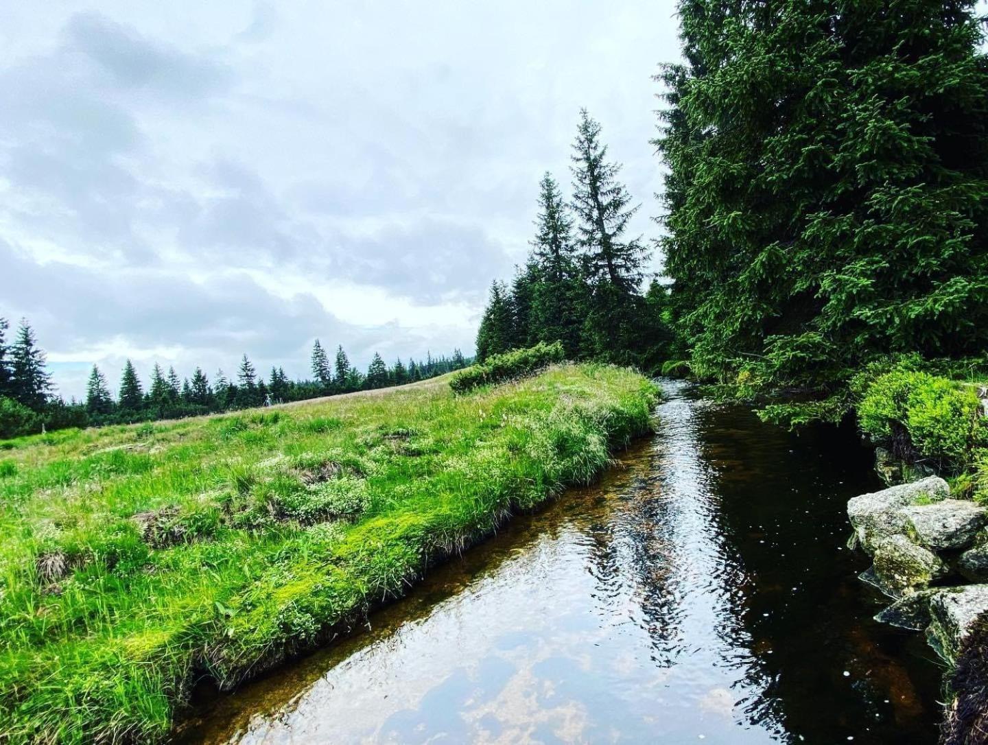 Chalupa U Smrku Horní Polubný Exteriér fotografie