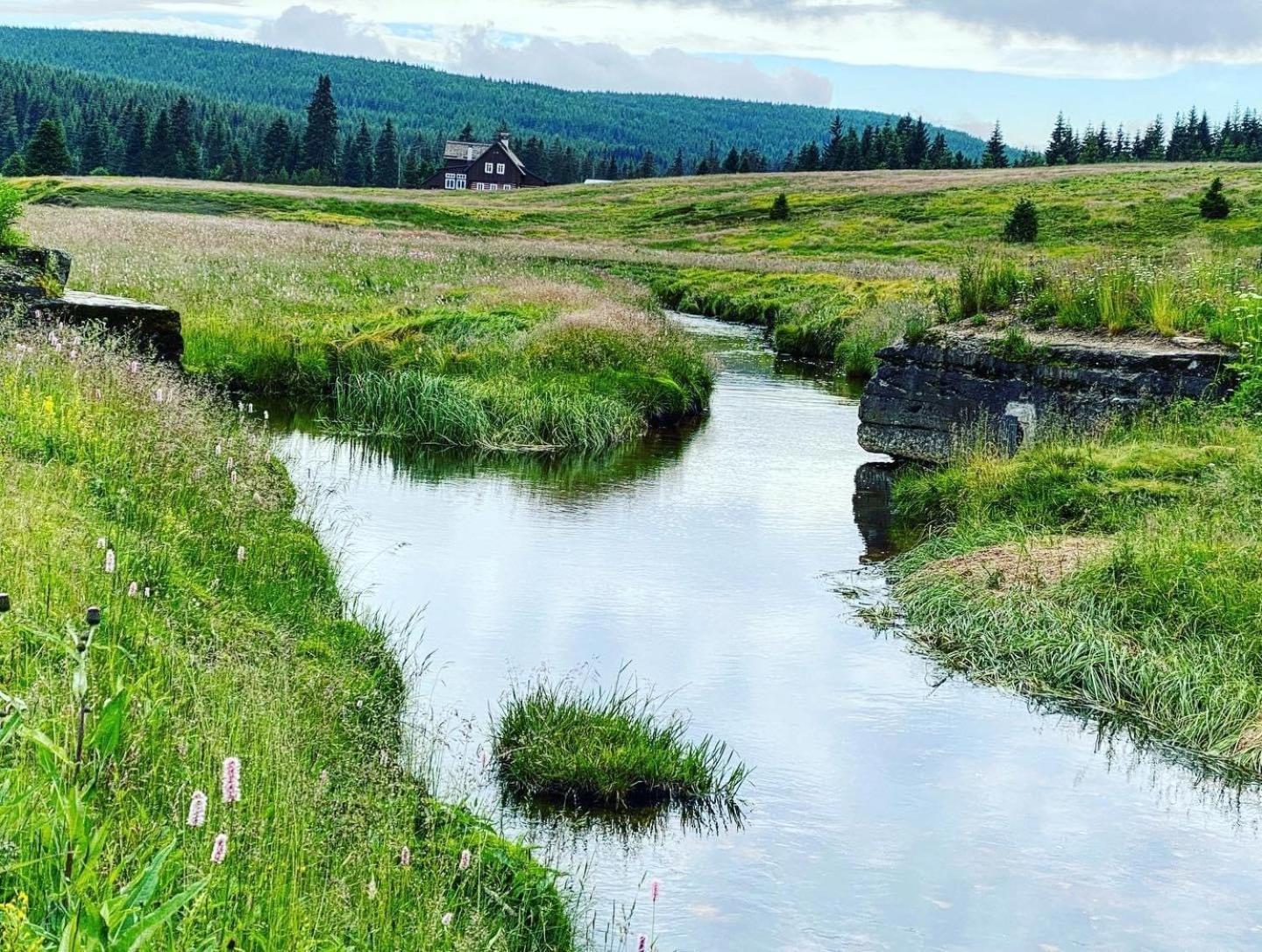 Chalupa U Smrku Horní Polubný Exteriér fotografie