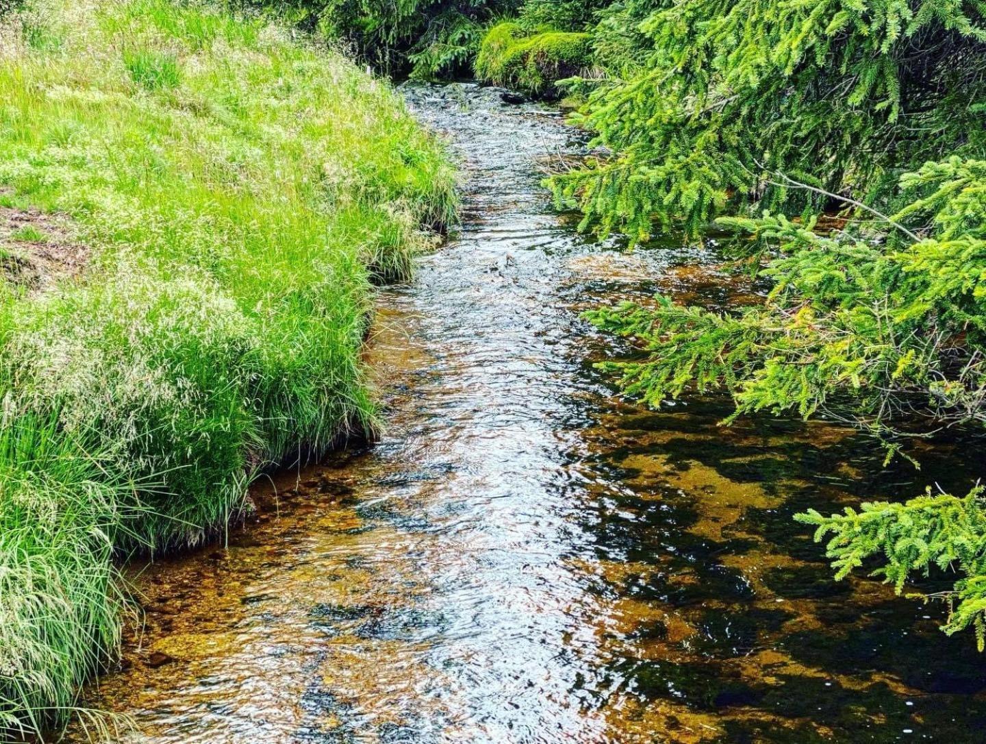 Chalupa U Smrku Horní Polubný Exteriér fotografie