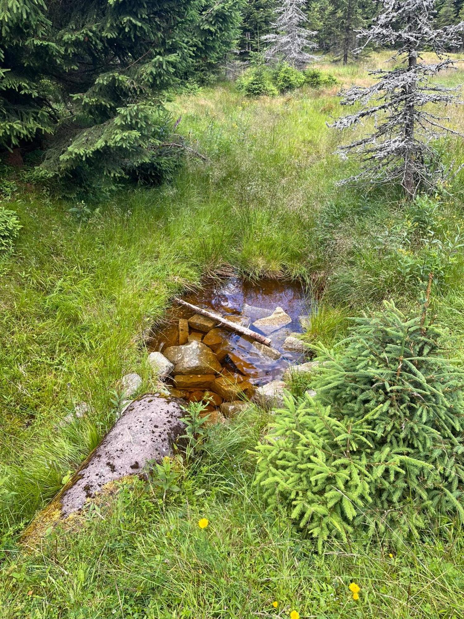 Chalupa U Smrku Horní Polubný Exteriér fotografie