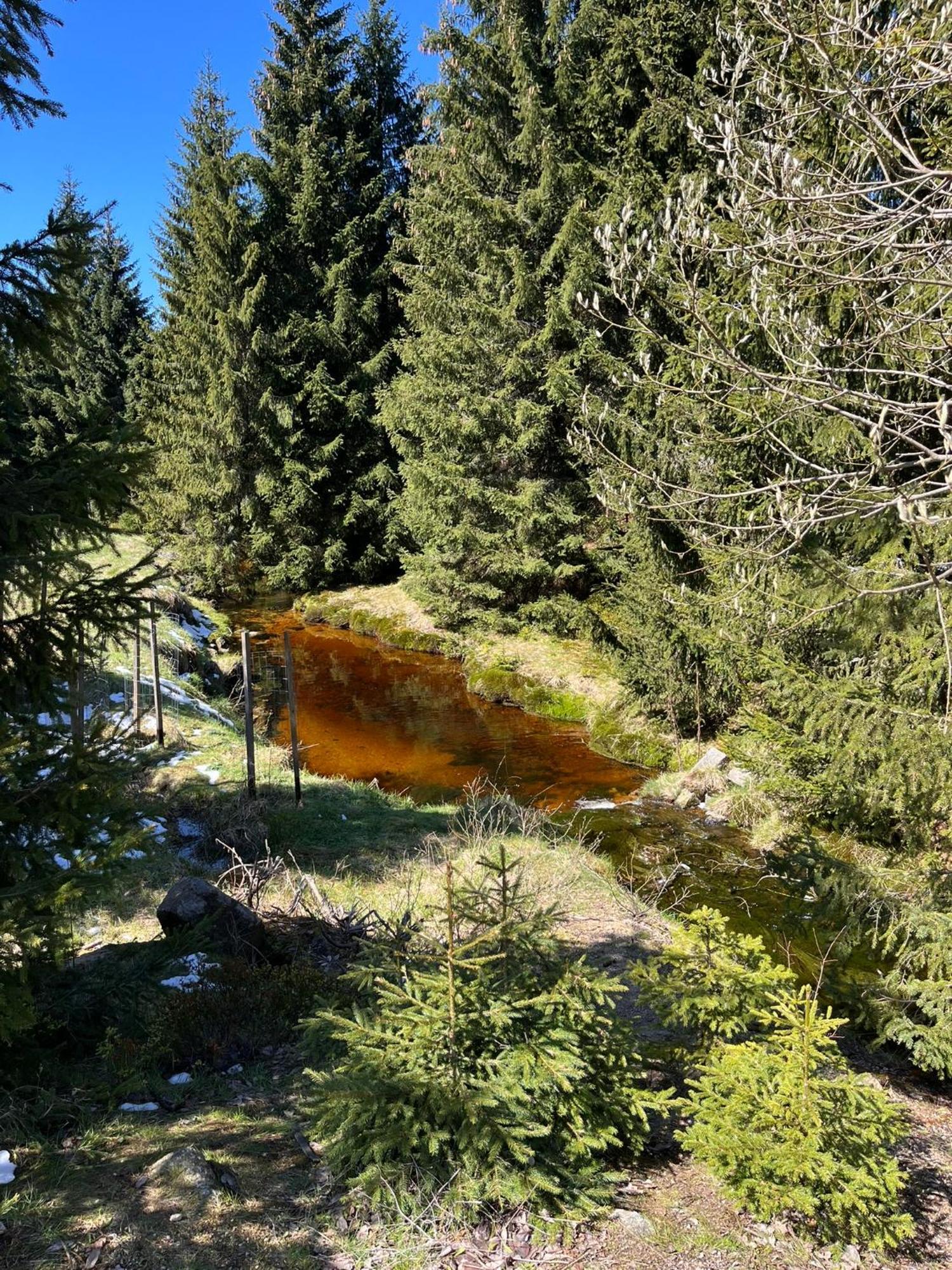 Chalupa U Smrku Horní Polubný Exteriér fotografie
